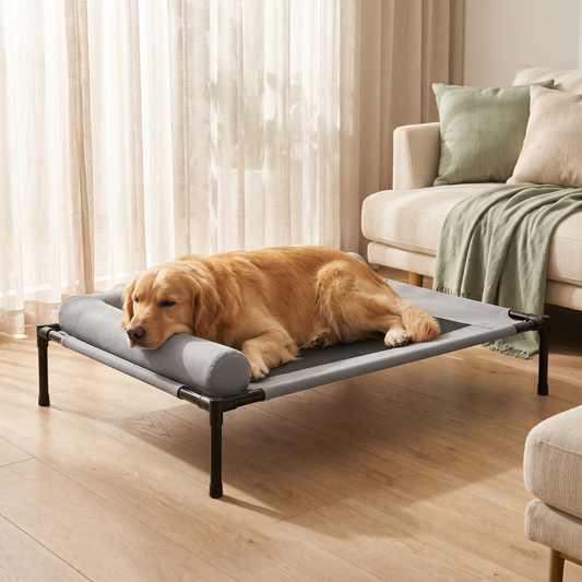 Golden retriever resting on the Breeze elevated cooling cot in a bright living room