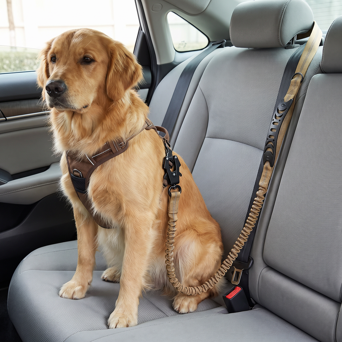 Stride khaki bungee dog lead
