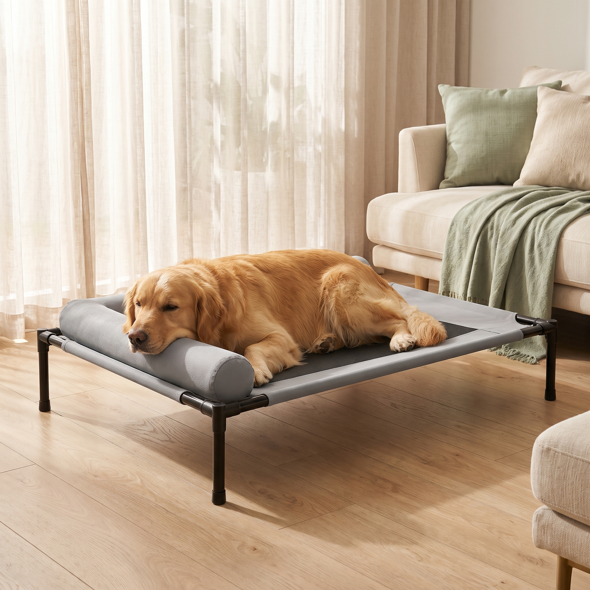 Golden retriever resting on the Breeze elevated cooling cot in a bright living room