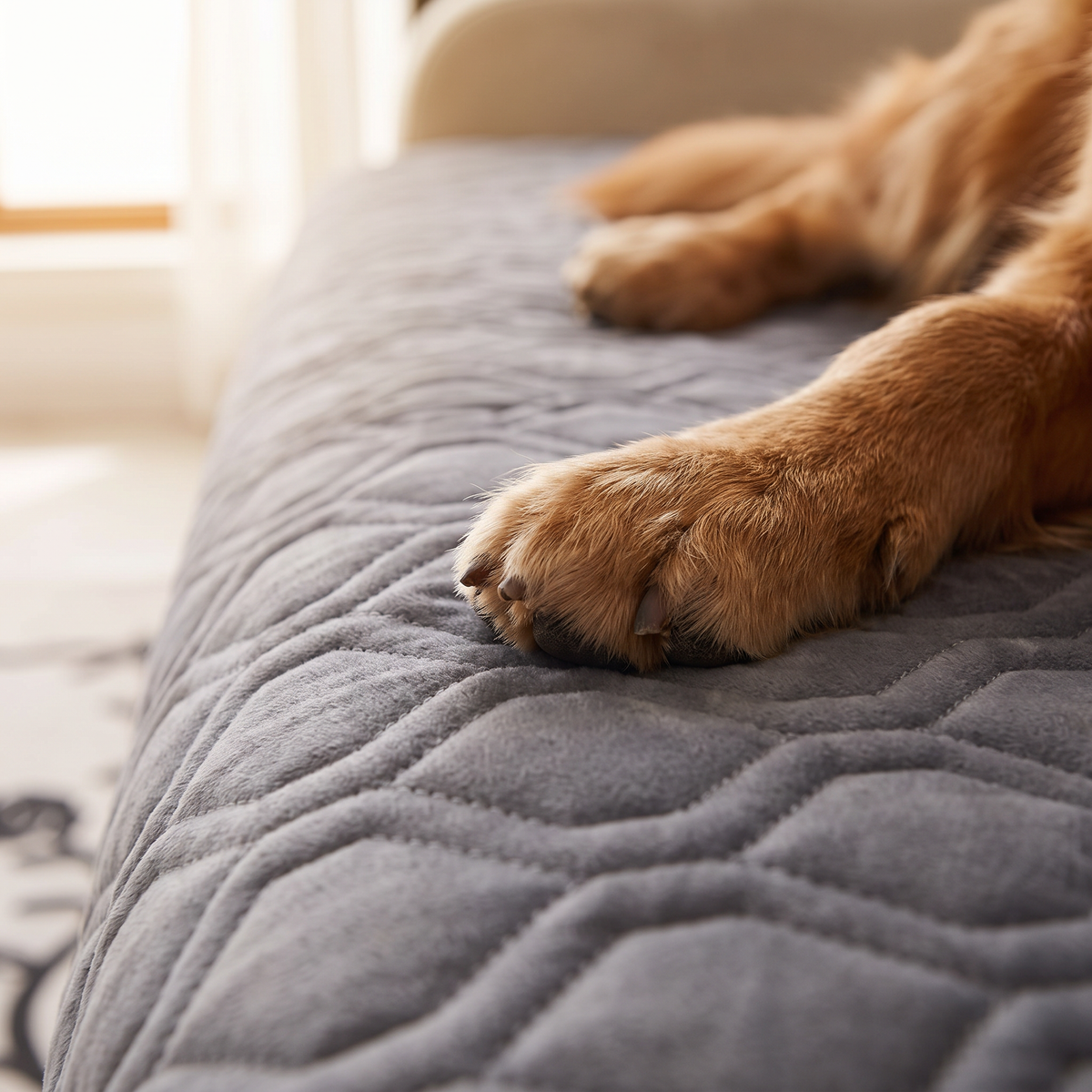 Close up of the Haven cover's quilting with a dog's paw