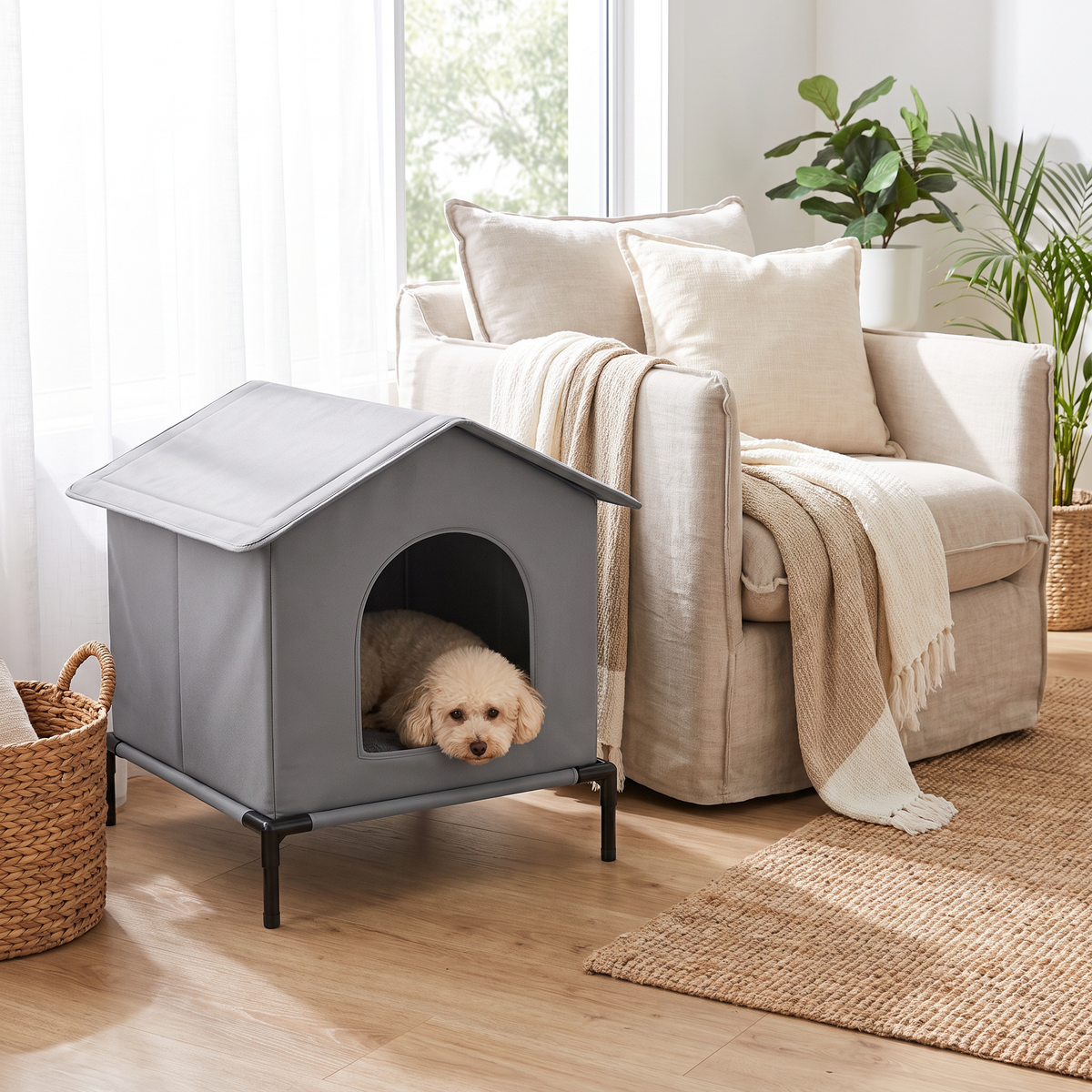 Toy poodle resting inside the Burrow pet house in a living room
