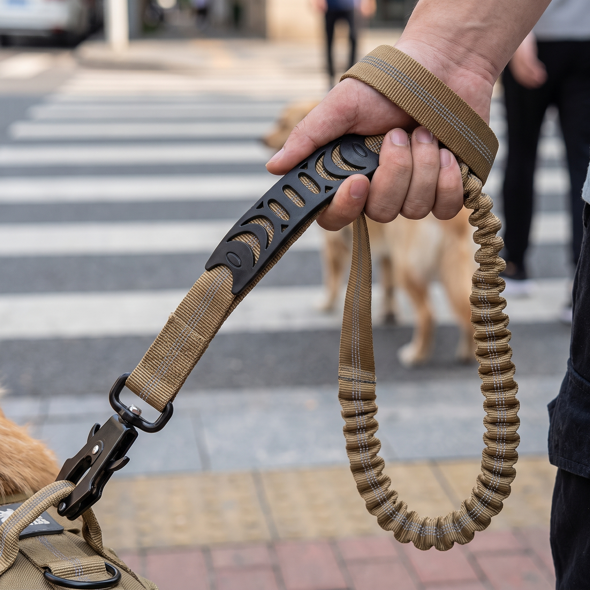 Stride khaki bungee dog lead