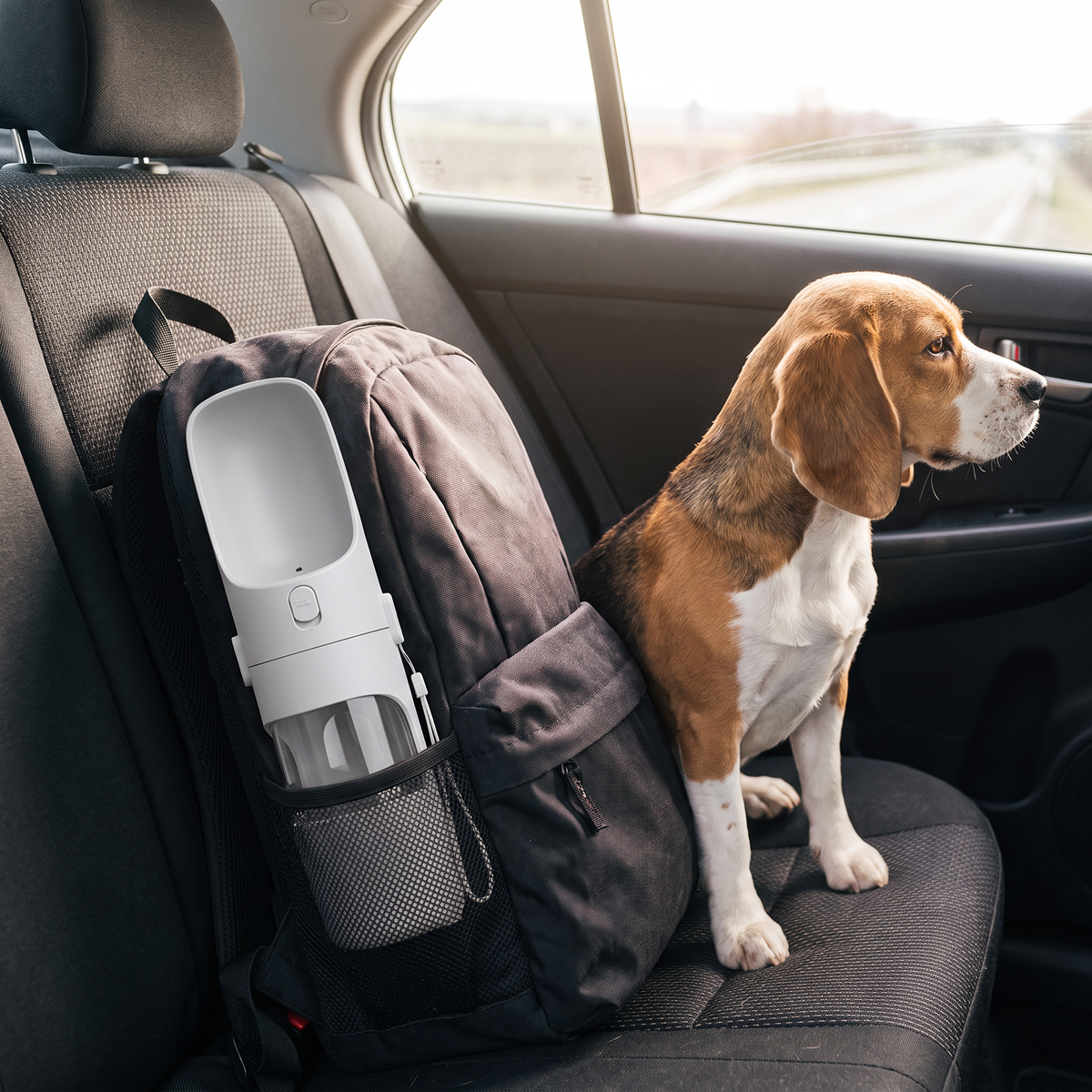 Trailmate portable dog water bottle
